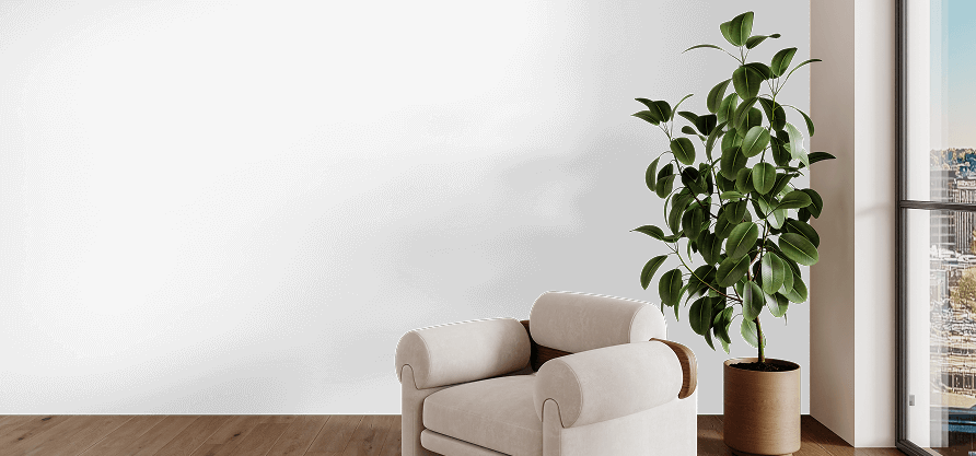 gallery imgae new